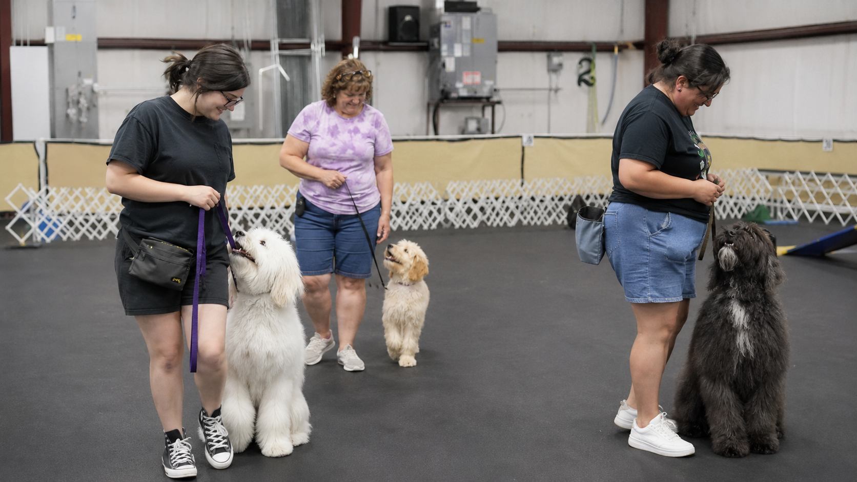Three IPOC handlers working recall exercises with their dogs during a group class