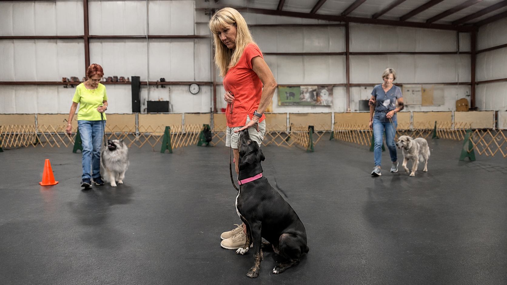 Handler working a focus and hand-targeting exercise with her dog at IPOC