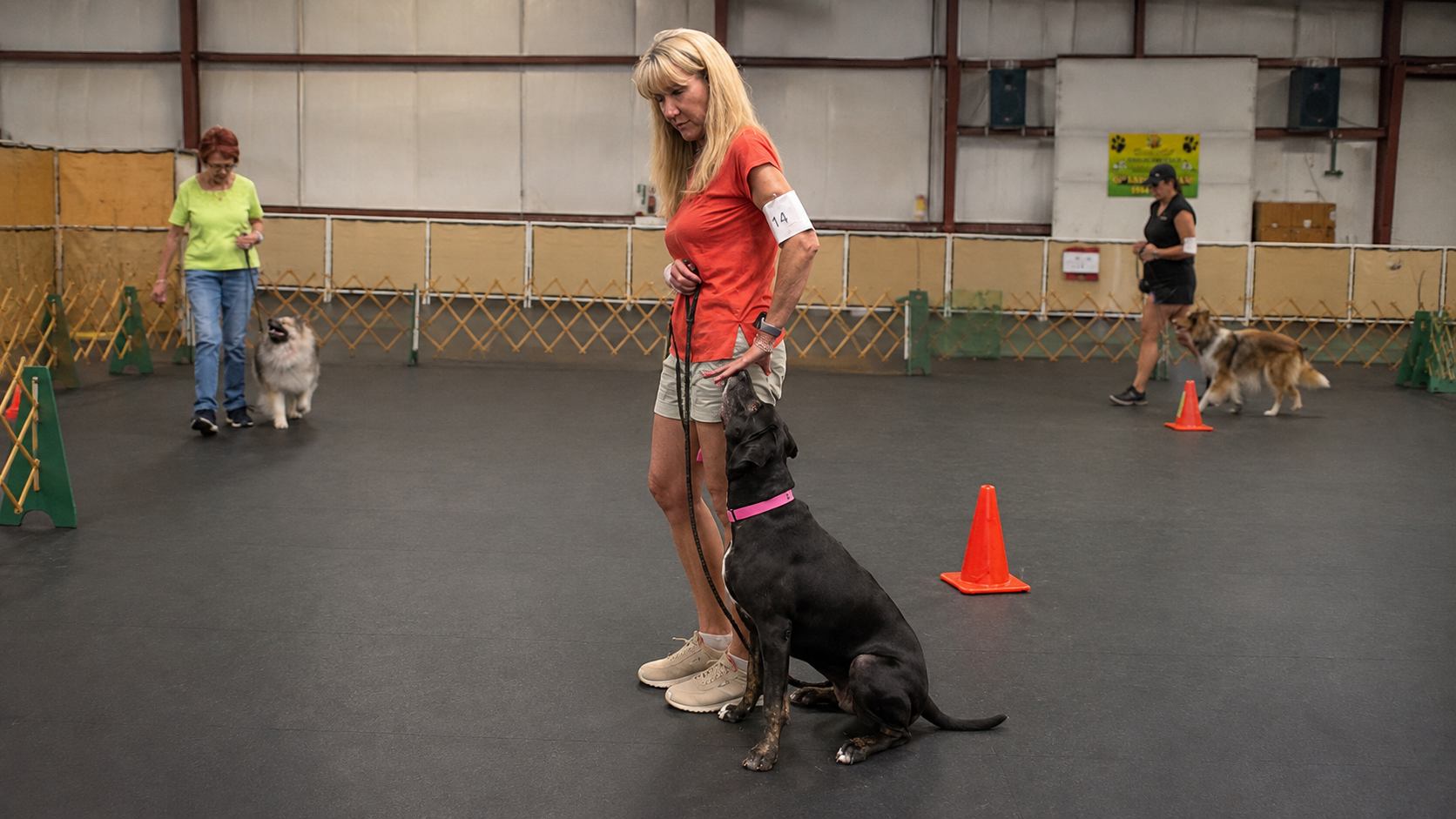 Handler in an orange shirt working an attention exercise with her dog during an IPOC obedience class
