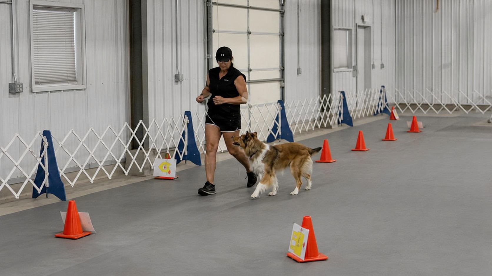 Handler and dog running a rally-style course with numbered stations at IPOC
