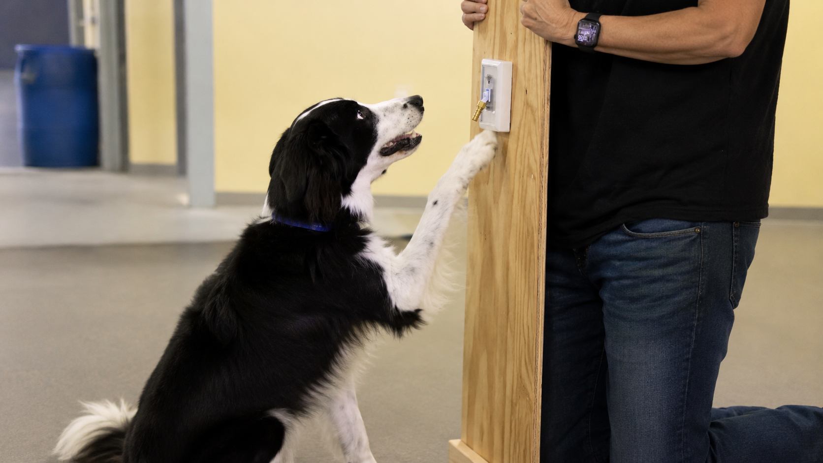 Dog placing a paw on a target switch during trick training at IPOC